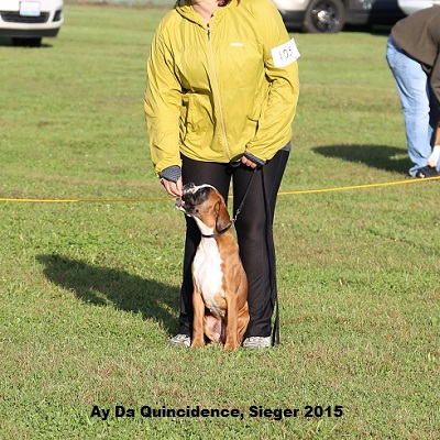 sieger2015-5