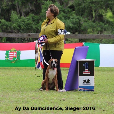 sieger2016-14