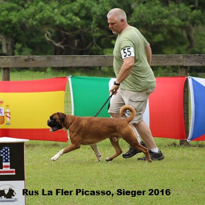 sieger2016-3