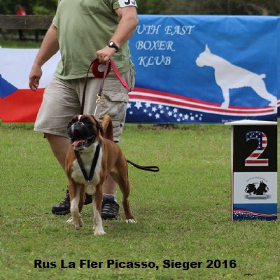 sieger2016-4