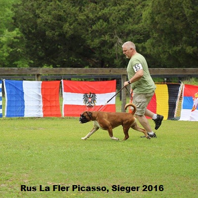 sieger2016-5