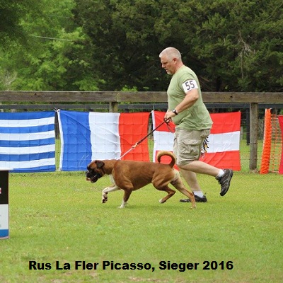 sieger2016-7