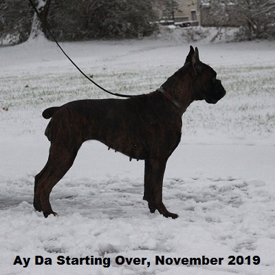 nov2