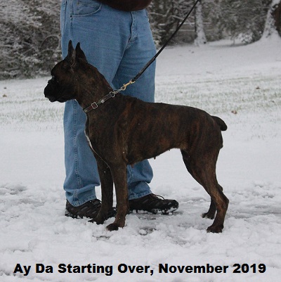nov3