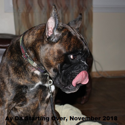 nov4