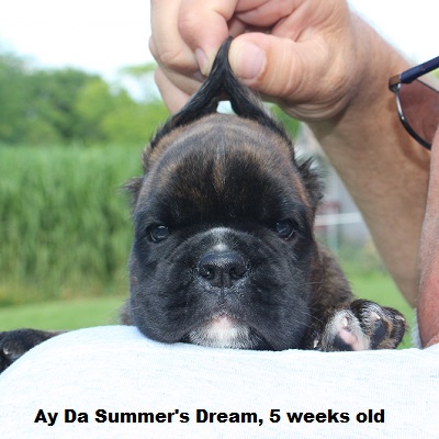 summer5w1