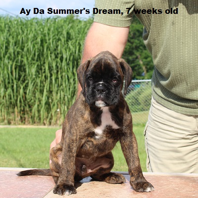 summer7w2