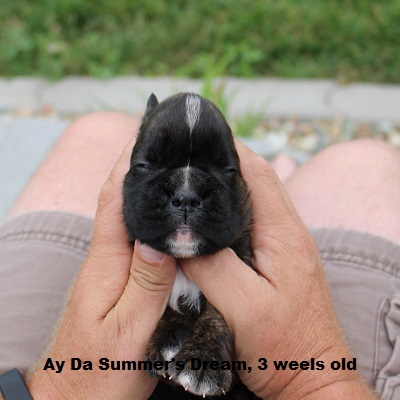 summers3w1