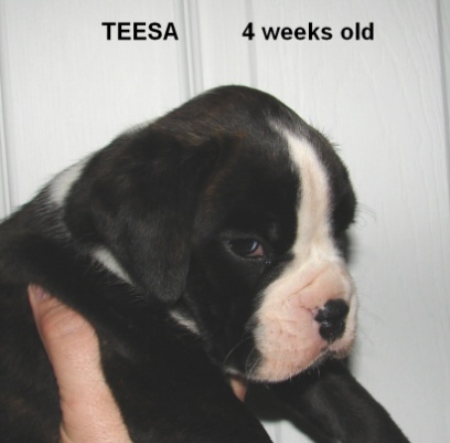 teesa1