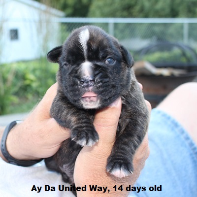 uway1