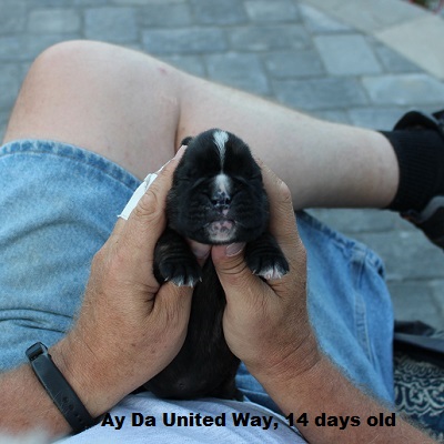 uway2