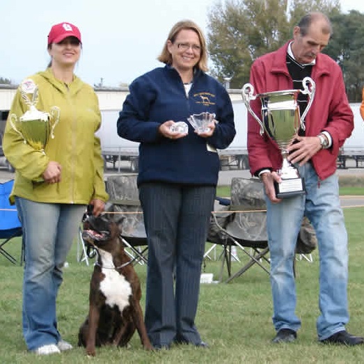 sieger2008