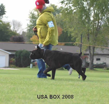 2008usabox3