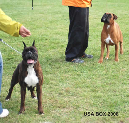 2008usabox6