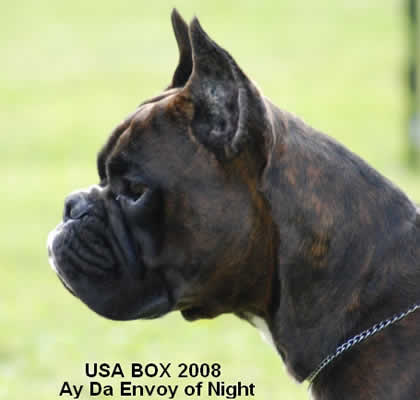 2008usabox9