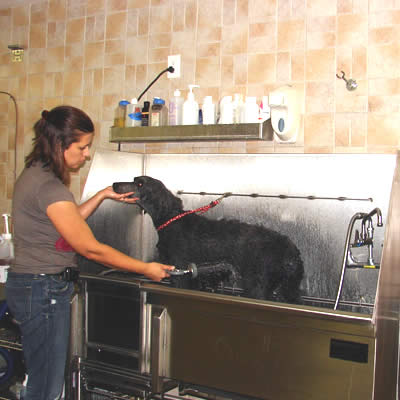 Grooming Pic3.