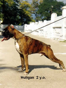 Huligan