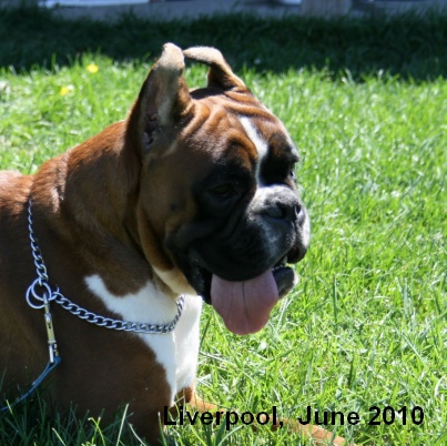 liverpool5
