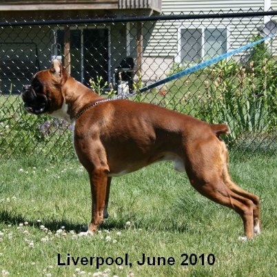 liverpool6